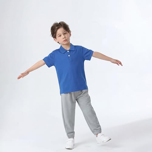 Image of Boy Polo Shirt Pique School Uniform Shirt for Kid Golf Top Youth Boy 5-14Y