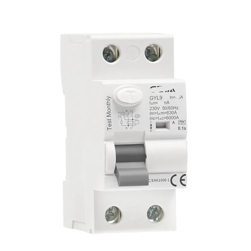 Disjoncteur de fuite à la terre 2P 63A 100mA GYL9 AC pour tableau électrique