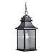 Vaxcel Cambridge 8" Outdoor Pendant