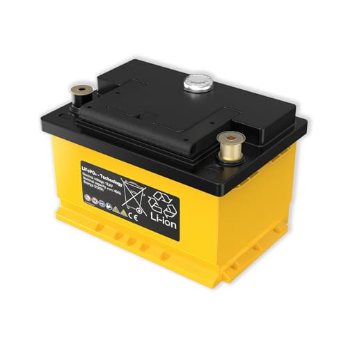 Car Battery 12V 40Ah LiFePO4 Start and Stop Batteries, 660CCA 100RC Lithium Auto Battery, Rechargeable Automotive Batteries, Replacement for H5 H6 AGM Group 48, with BMS&Low-Temp Self-Recovery