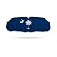 S Carolina State Flag