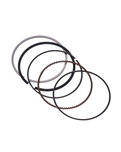 sXgOLbg }np YP250 }WFXeB 4HC 2004-2015 STD~100 / 69mm-70mm oCNpsXgLbg sO(69mm (Ring))