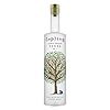 Buy Sapling Vodka 40% ABV – Premium, Small Batch, 4x Distilled Sustainable British Vodka with Tree Planted per Bottle (70cl) – Sapling