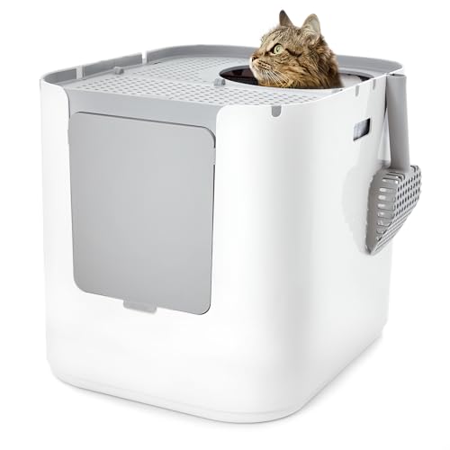 Modkat® XL Litter Box, Top or Front-Entry Configurable, Full Height Seamless Base, Reusable Litter Liners, Sifting Litter Scoop, 2X Bamboo Charcoal Filters - Black - Thumbnail 3