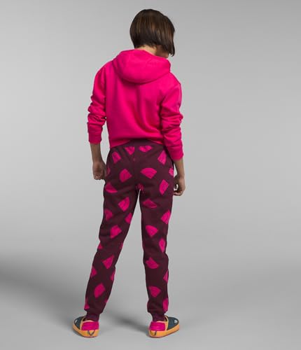 The North Face Girls' Camp Fleece Pullover Hoodie - Girls'2