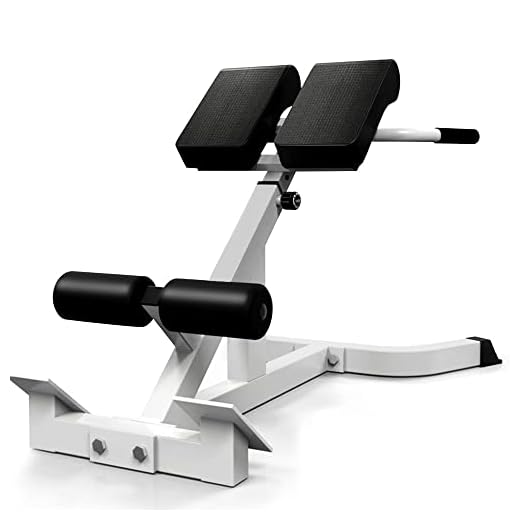 SUCXDZQ Roman Chair Back Extender - Angle & Height Dual Adjustable Hyperextension Bench for Home Gym - Adjustable Back Exercise Machine (White)