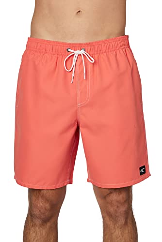 O'NEILL Men's 18 Santa Cruz Volley Board Shorts - Men's Swim Trunks with Fast-Drying Stretch Fabric and Pockets