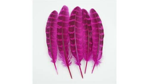 HoitoDeals 20Pcs Hot Pink Small Pheasant Feathers for Clothes Peacock Feather Natural Feathers for Crafts Wedding Carnaval Assesoires 10-15cm