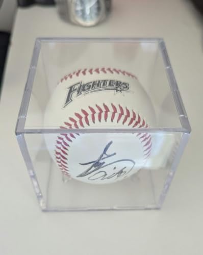 ファイターズ サイン入り風ボール