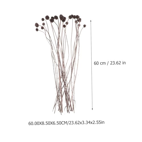 Tofficu 20pcs Flores Secas Craspedia Color Café miniatura 2