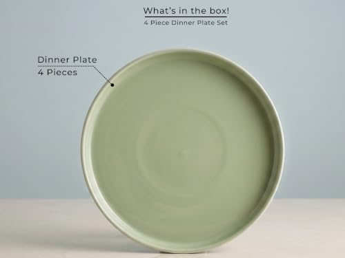 Image of Bodhi House 4-Piece Ribbed Porcelain Dinner Plate Set, 4 Dinner Plates, Chip Resistant, Lightweight, Microwave & Dishwasher Safe Crockery Set for Home, Dining & Gifting