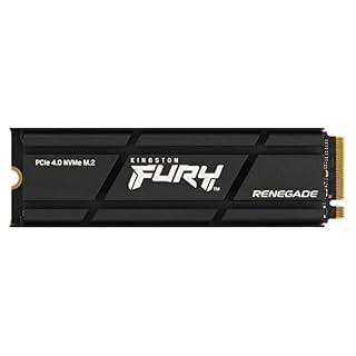 Poster di Kingston FURY Renegade 1000G (1TB)
