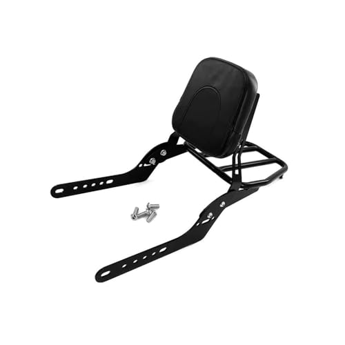 Accessoires de transporteur CL300 pour partir en week-end moto en duo confortablement