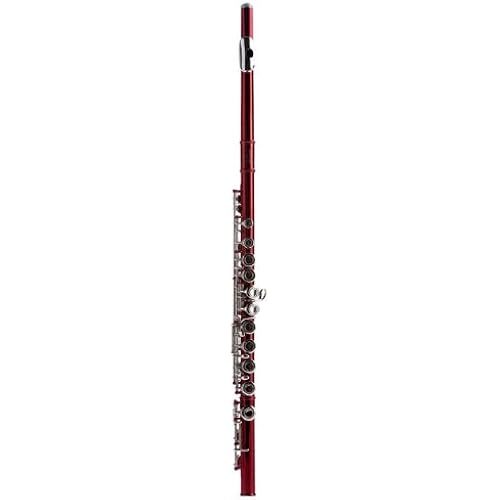 Hawk WD-F113-RD, Closed hole C Flute with Case, Red