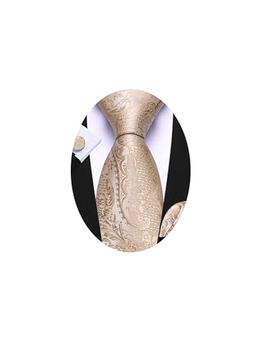 Image of Barry.Wang Men Ties Paisley Woven Silk Necktie Set with Pocket Suqare Cufflinks Formal