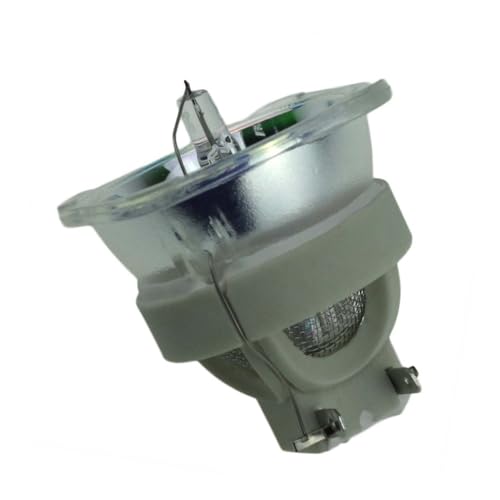 Ampoule de projecteur Optoma BL-FU310A pour des soirées cinéma HD151X