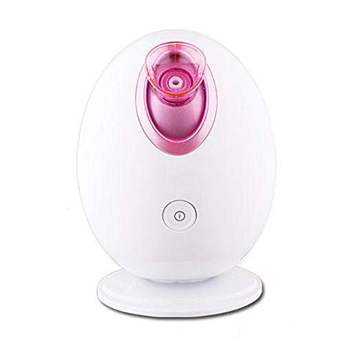 Preisvergleich Produktbild FMMXN Haushalts-Schönheitssprüher,Ei-Ione... Nano-Sprühkopf Mit Temperaturregelungstechnologie, Tiefe Flüssigkeitszufuhr, Aktivierung Der Zellen, Aufhellung des Hauttonus