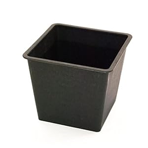 Elegant Einrichten quadratisch konisch Blumenkasteneinsatz 34x34x31cm