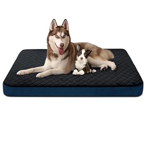 JoicyCo Dog Bed for Extra Large Dogs, Orthopedic Foam Jumbo XL Dog Bed Mattress, 47 Inches Joint Relief Pet Sleeping Bed, Non Slip Bottom with Removable Washable Cover, Dark Grey