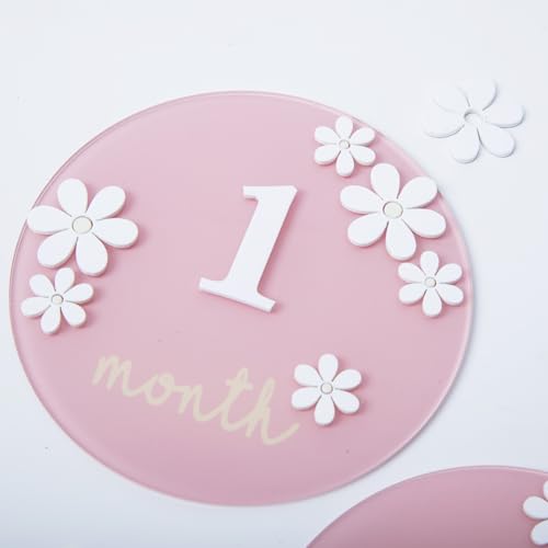 Image of Acrylic Daisy Baby Milestone Cards, 3D Baby Milestone Signs, 1-12 Months Interchangeable Monthly Milestone Sign, Baby Announcement Sign, Baby Photo Prop