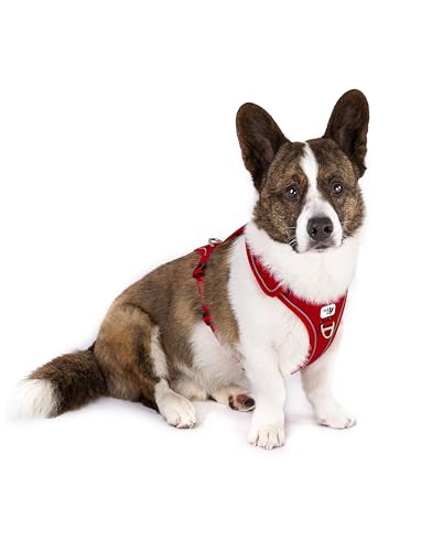 Belka Harness Adjustable Neck Black XL