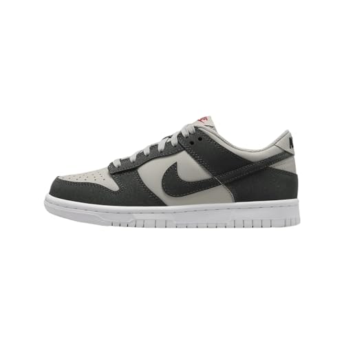 Nike Dunk Low Big Kids' Shoes (FZ1000-001, Light Iron Ore/White/Gym Red/Anthracite) Size 4