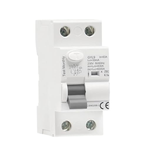 Disjoncteur différentiel GYL9 Type A 2P 63A 100mA pour la protection électromagnétique