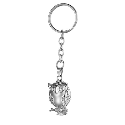 COCO Park Owl Memorial Keepsake for Ashes Holder Stainless Steel Crystal Urn Pendant Jewelry Cremation Keychain