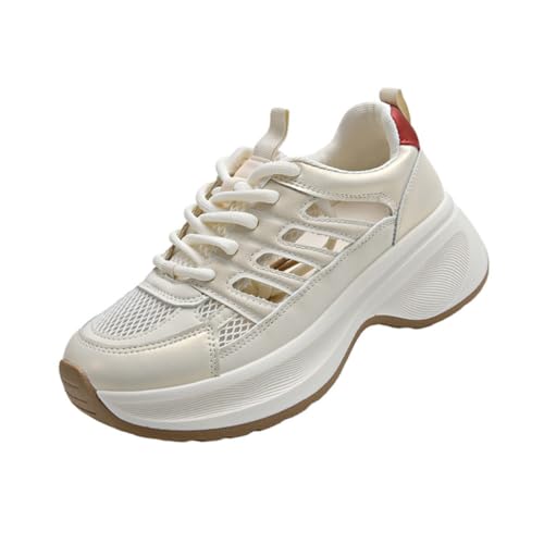 [Cosea] fB[X Xj[J[ 5cm JWA V[Y  WjA nCJbg EH[LOV [Y lC  ^C t@bV r Xg[gV[Y w ʋ 풅p ďH22cm~25cm (24.0 cm,x[W