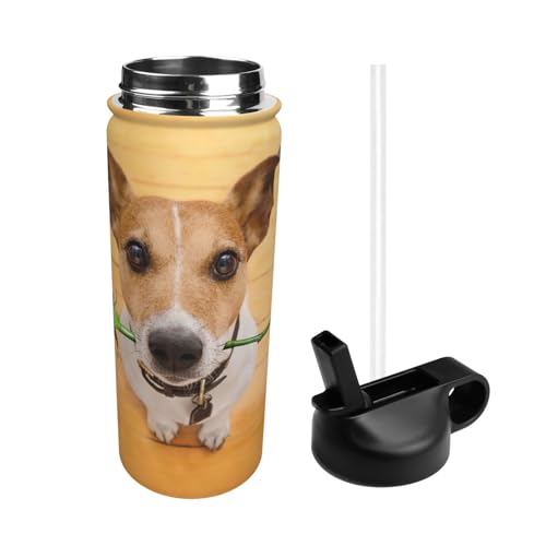  WbNEbZEeAƃ[Y X|[c{g @r e q l  Xg[t ۉۗ  v[g Mtg