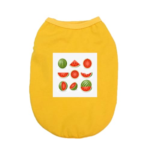 [XANPYO] ybg tďH tVc ^ ybg  hbOEFA xXg CG[ t@bV lC  Ȃ Ȑ lGʗp ^ ʋC ₩ Ăh Eѕی S U o