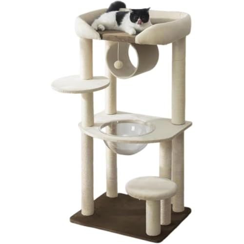 LAJOKINGLbg^[肨}bgXtvbgtH[ΉRpNg~Čpp}bgt^Lᗎ݌vW]Lxbh^sȃXy[X܂Ƃo[ȃ[vVя (3Kł,zCg)