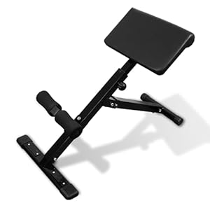 WUDLEP Roman Chair Back Extension Machine Foldable 5 Adjustable Position Sit up Multi-Functional Hyperextension Back Strength Exercise Bench 330 lbs for Home Workout Gym Fitness Equipment