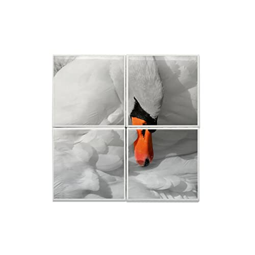 Carreaux céramique décoratif cygne blanc nature lac 40x40