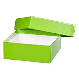 Thermo Scientific Lagerboxen