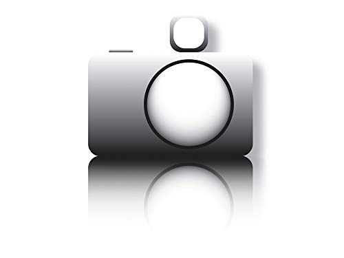 Tcm Fx 51708688 Elektrischer Streuwagen, 80 cm, Metallic, Einheitsgröße