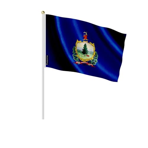 Lot mini drapeau Vermont 30x45cm 100 pièces décoration extérieure et intérieure