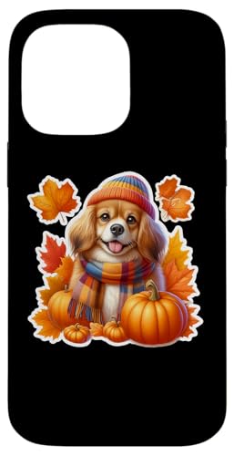 H H `xbg XpjG   Ӎ }}  X}zP[X iPhone 14 Pro Max p