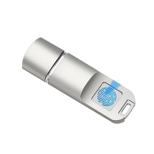 PLCPDM Clé USB C sécurisée avec Digitale, 16 Go-256 Go, clé USB Portable Haute Vitesse, cryptée par Digitale