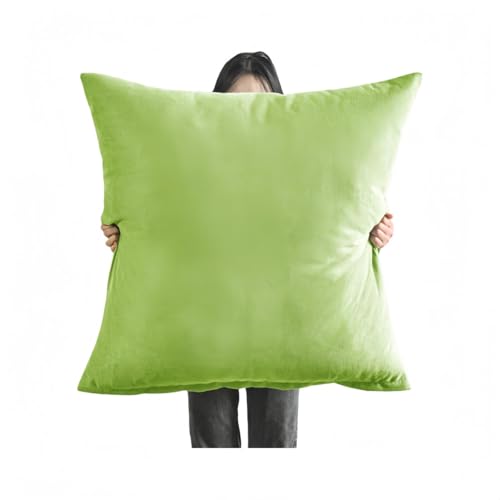 samchuzc咴卆t@bV`nԑ剡ɂȂĔw\t@TCYӂ莺`卆NbVJo[F\t@Jo[QoyxbhTChwNbV (AbvO[,60*60cm)