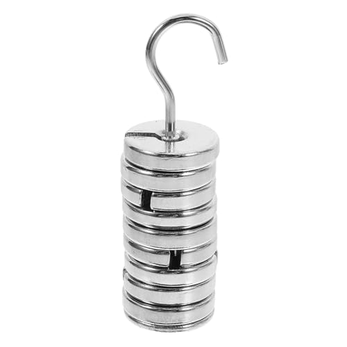 CIYODO Precision Weights Set 100g Total Slotted Hanger Chrome Finish Versatile for Labs