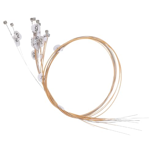 ERINGOGO 1Zbgn[v  CA[n[vp  yD