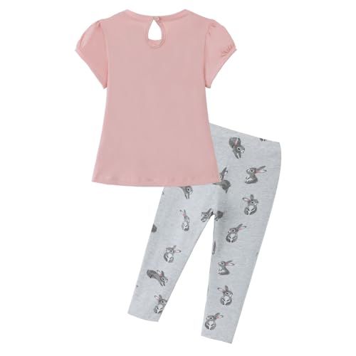 Image of HILEELANG Toddler Girl Easter Outfit Spring Summer Cotton Leggings Pants Tees Shirts Clothing Sets