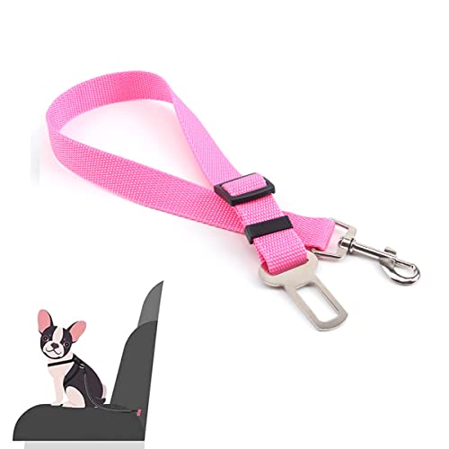 dog seat belts