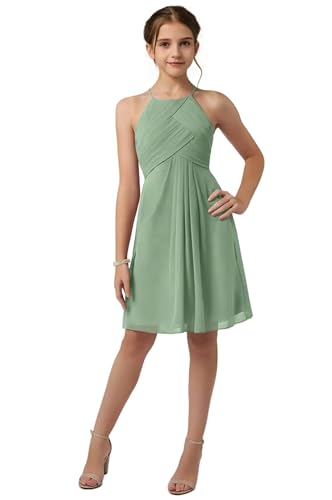 Halter Neck Short Junior Bridesmaid Dresses for Wedding Pleated Chiffon Flower Girl Dress Knee Length Formal Dress