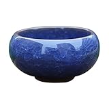 Photo Gallery wilitto vasi in ceramica, con fori di drenaggio, per piante da interni ed esterni, artigianato in ceramica, con fori sul fondo blu scuro Photo Gallery wilitto vasi in ceramica, con fori di drenaggio, per piante da interni ed esterni, artigianato in ceramica, con fori sul fondo blu scuro