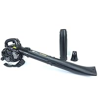 Amazon.co.jp: MOTOFUTURE 小型 軽量 エンジン式 ブロワー ブロア 2