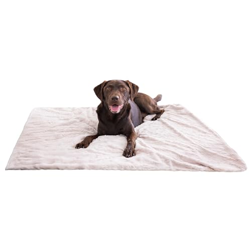 Best Friends by Sheri Calming Lux Dog Blanket – Ultra Soft Faux Fur Pet Throw, Anxiety-Relief, Lightweight Warm Bed Cover for Dogs and Cats, Machine Washable, Oyster Cream, 40" x 50"