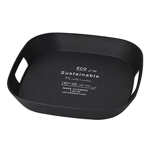 SPICE OF LIFE サスティナブル エコトレイ BENIGN ブラック Lサイズ 39.5cm TBGF1033BK