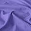 Violet Purple